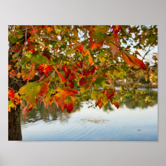 Blätter im Herbst drehen Poster (Vorne)