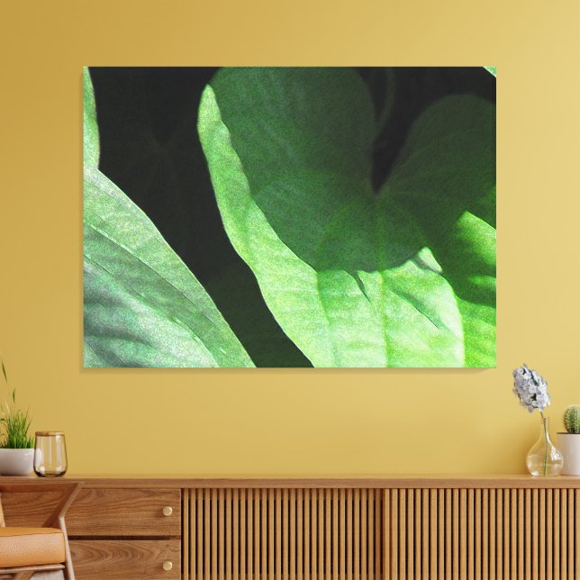 Blätter in Licht und Schatten schließen Leinwanddruck (Insitu (Wohnzimmer))