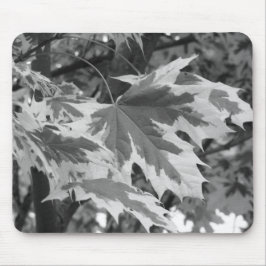 Blätter in Schwarz und Weiß Mousepad