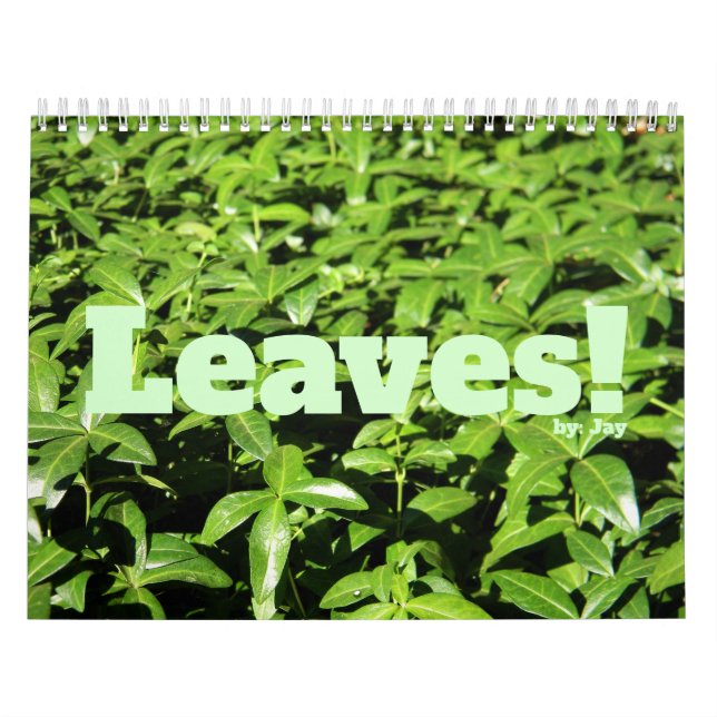 Blätter! Kalender (Titelbild)