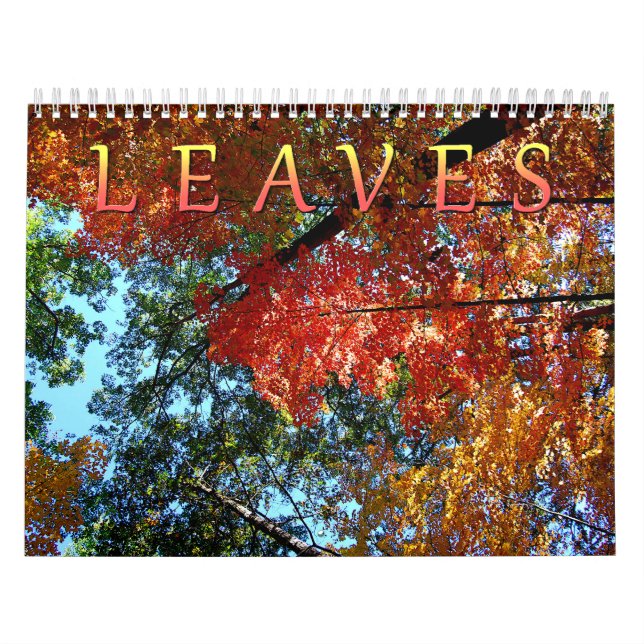 Blätter-Kalender Kalender (Titelbild)