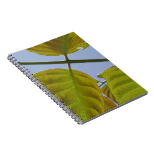 Blätter-Notebook Notizblock