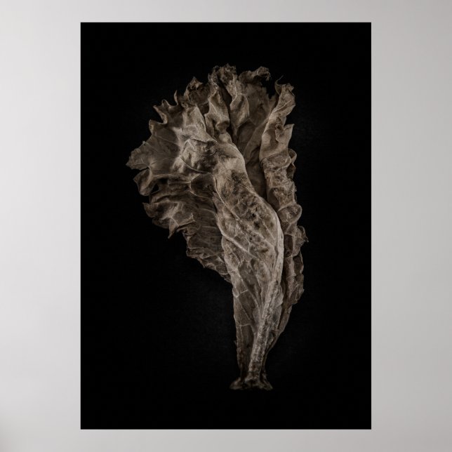 Blätter Nr. 8 Farbversion Poster (Vorne)