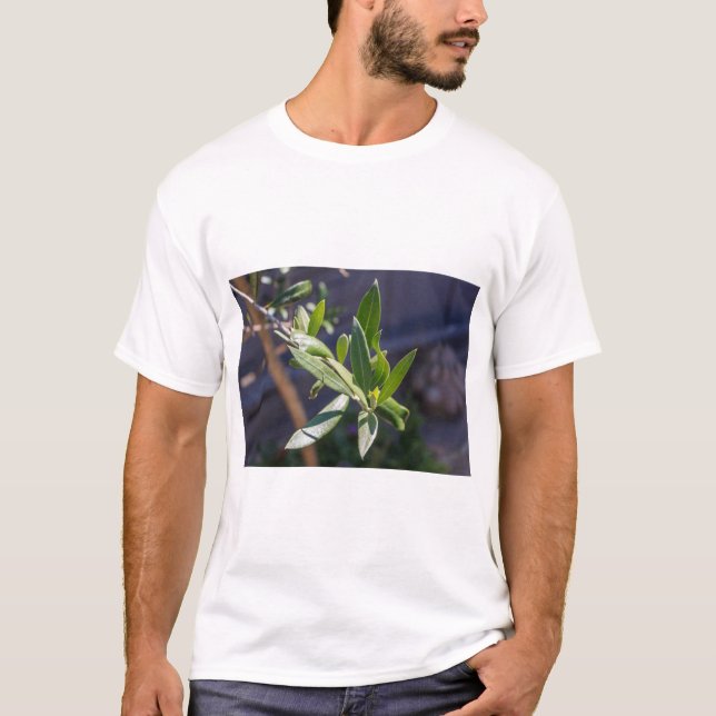 Blätter Olivenbaum T-Shirt (Vorderseite)