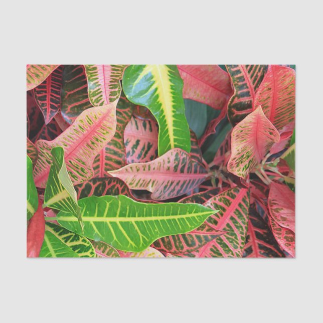 Blätter-Papiertafel Seidenpapier (Vorderseite)