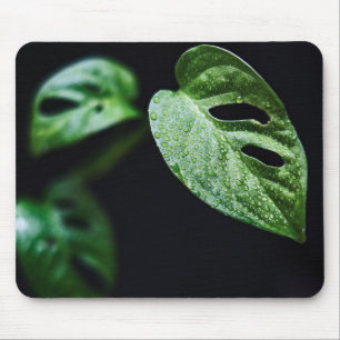 Blätter, Pflanze, Natur Mousepad