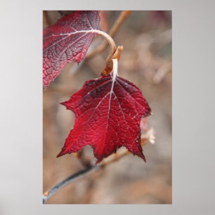 Blätter Poster