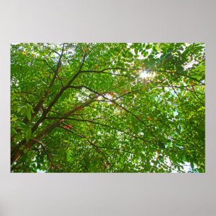 Blätter Poster