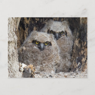 Blätter Postkarte
