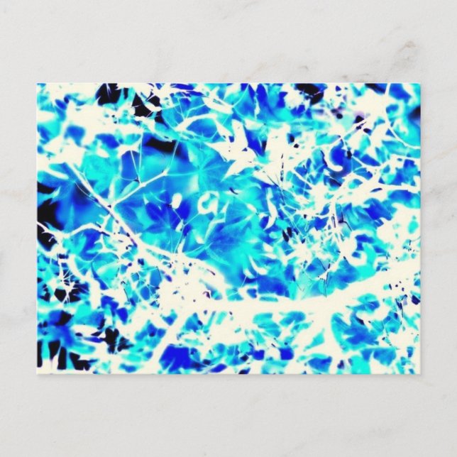 Blätter Postkarte (Vorderseite)