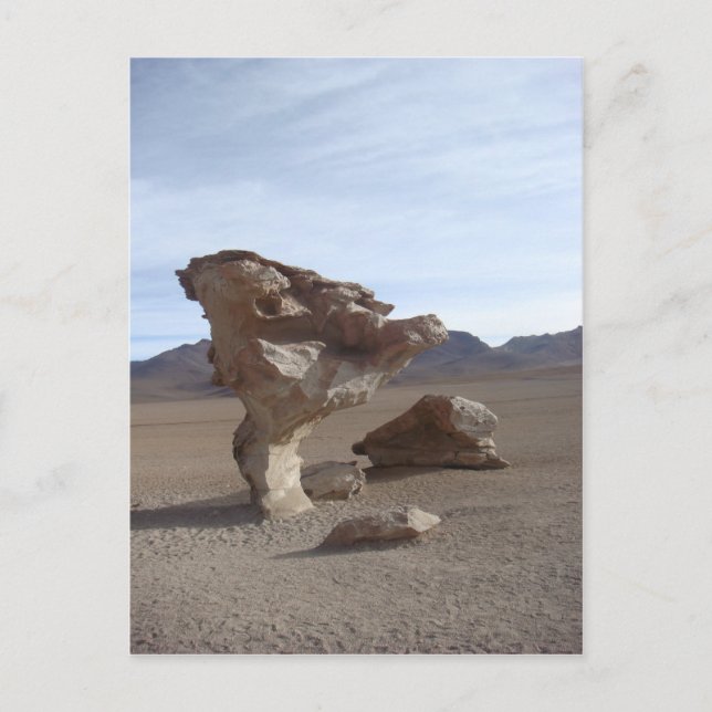 Blätter Postkarte (Vorderseite)