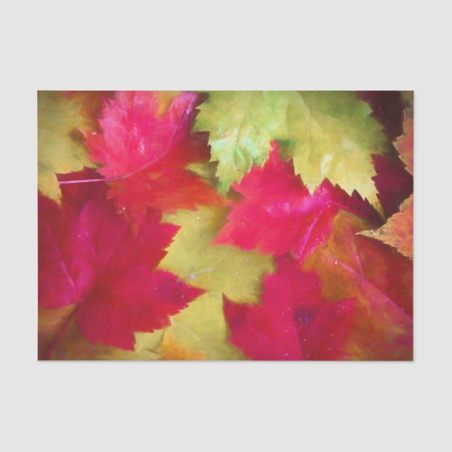 Blätter Rote Gelbe Maple im Herbst Kunst Seidenpapier (Vorderseite)