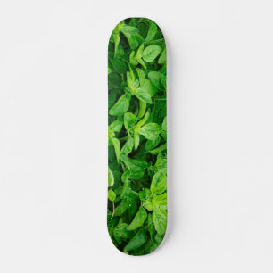 Blätter Skateboard 2