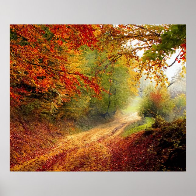 Blätter und Bäume im Herbst, die die schmutzige St Poster (Vorne)