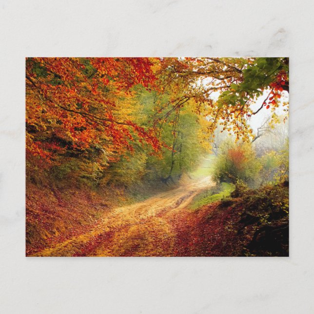 Blätter und Bäume im Herbst, die die schmutzige St Postkarte (Vorderseite)