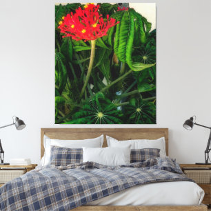 Blätter und Blume zur korallalen Pflanze Leinwanddruck