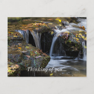 Blätter und Wasserfälle Postkarte