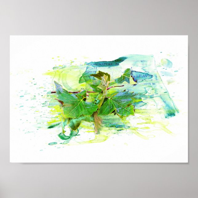 Blätter - Watercolor / Aquarell, Illustration Poster (Vorne)