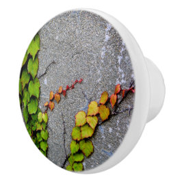 Blätter zur Herbstfarbe Keramikknauf