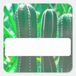 Blätter zur Pflanze von Pastel Green Cactus Quadratischer Aufkleber