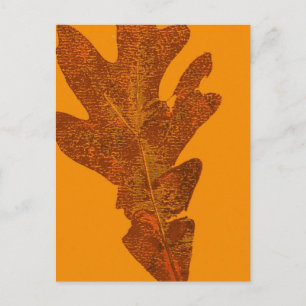 Blätternatur Print Postcard Postkarte
