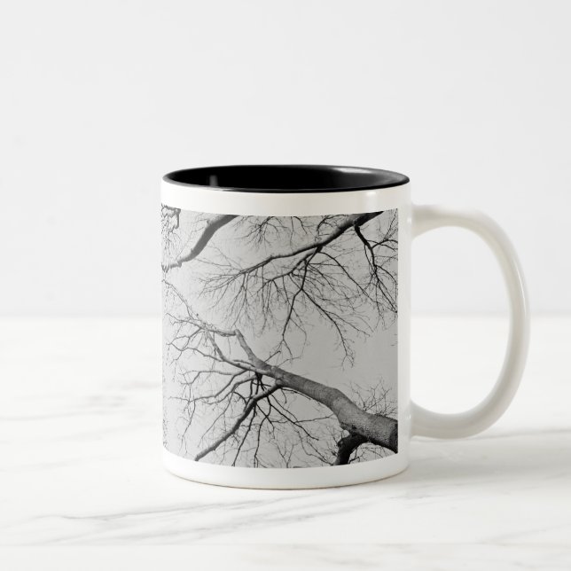 Blattlose Bäume in Thiepval Holz Zweifarbige Tasse (Rechts)