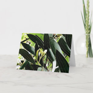 Blattmuster Feiertagskarte