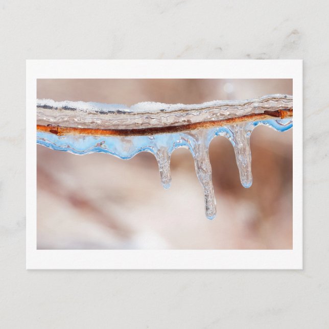 blau an einem eisigen Tag Postkarte (Vorderseite)