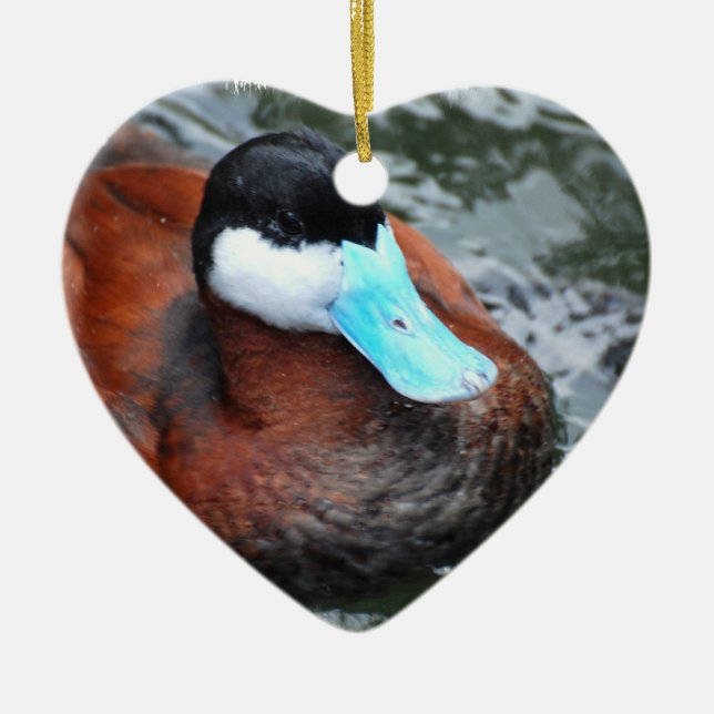 Blau berechnete Enten-Verzierungen Keramik Ornament (Vorne)