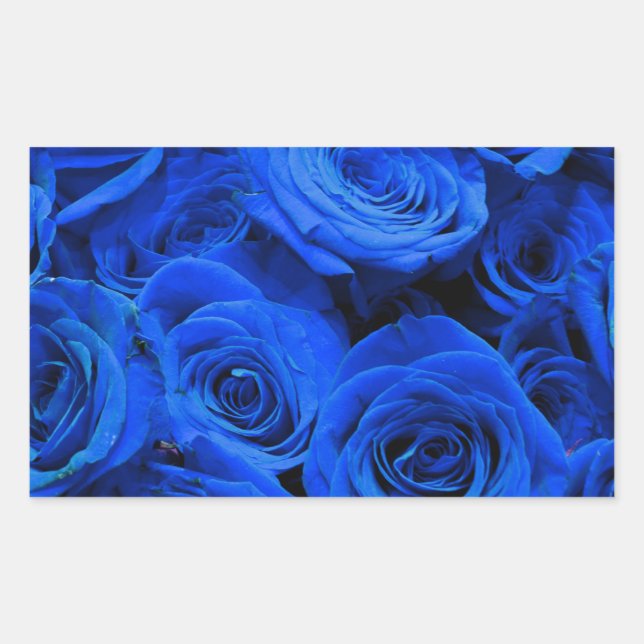 Blau blühende Blumen blauer Rose Rechteckiger Aufkleber (Vorderseite)