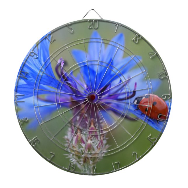 Blau blüht dartscheibe (vorne)