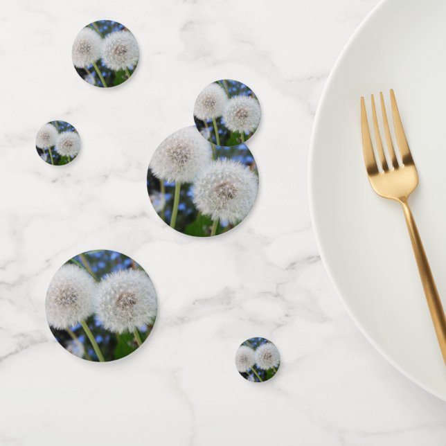 blau, Butterblume, Pflanze, Löwenzahn, Weiß, Konfetti (Gruppe)