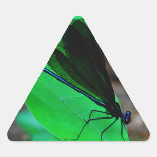 Blau Damselfly auf einem grünen Blatt. Dreieckiger Aufkleber