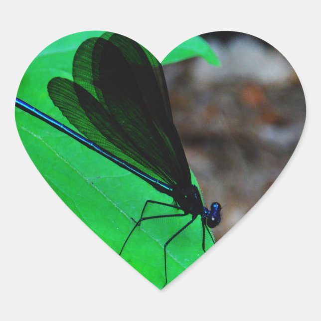 Blau Damselfly auf einem grünen Blatt. Herz-Aufkleber (Vorderseite)