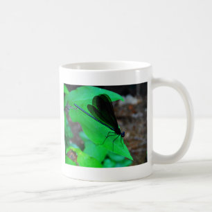 Blau Damselfly auf einem grünen Blatt. Kaffeetasse