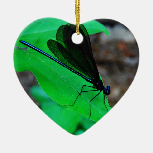 Blau Damselfly auf einem grünen Blatt. Keramik Ornament (Vorne)