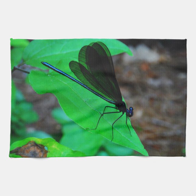 Blau Damselfly auf einem grünen Blatt. Küchentuch (Horizontal)