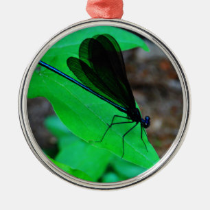 Blau Damselfly auf einem grünen Blatt. Silbernes Ornament