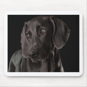 Blau das Weimaraner Mousepad