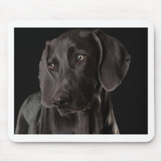 Blau das Weimaraner Mousepad