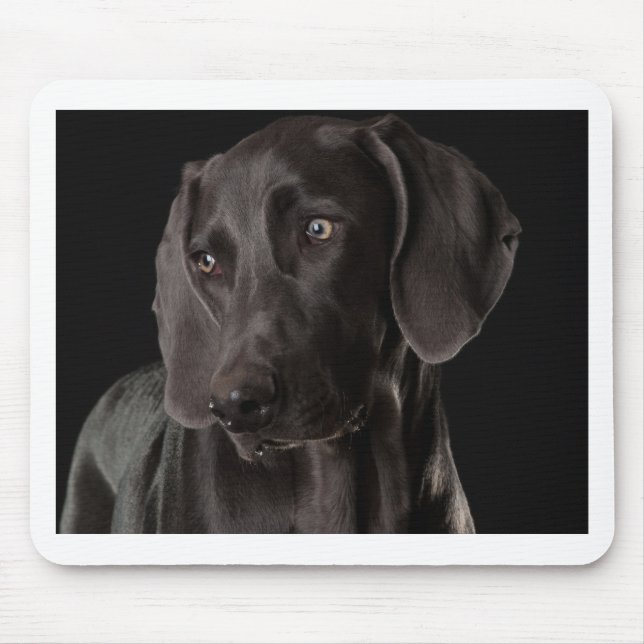 Blau das Weimaraner Mousepad (Vorne)