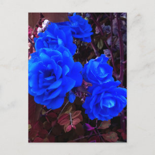 Blau-elektrische Rose Feiertagspostkarte