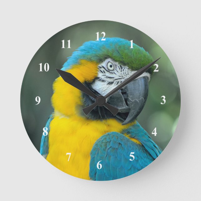 Blau-Gelb-Foto Runde Wanduhr (Vorderseite)