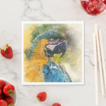 Blau-Gelb-Maca (Ara ararauna)