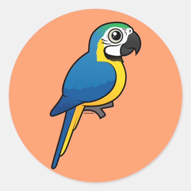 Blau-Gelb-Maca Runder Aufkleber (Vorderseite)