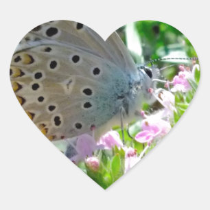 Blau gelb mit schwarzen Flecken Schmetterling auf Herz-Aufkleber