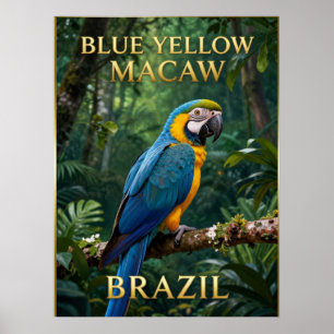 🦜 Blau-Gelber Ara Brasilianischer Regenwald Poster