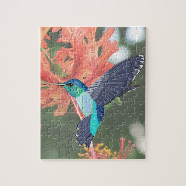 Blau-grüner Hummingvogel und orangefarbener Hibisk (Vertikal)
