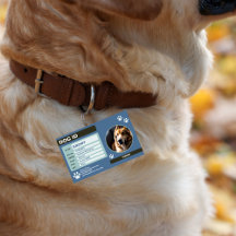 Blau-grüner moderner Hunde-ID-Anhänger: Einfach un