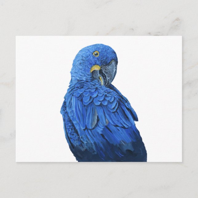 Blau-Hyacinth Macaw Postkarte (Vorderseite)